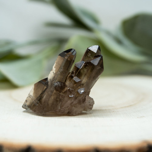 Smoky Quartz Cluster #2