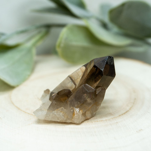 Smoky Quartz Cluster #1