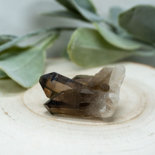 Smoky Quartz Cluster #1