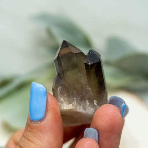 Smoky Quartz Cluster #1