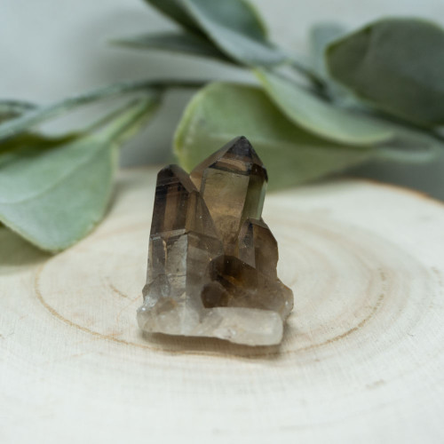 Smoky Quartz Cluster #1