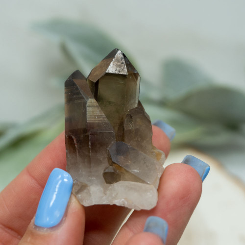 Smoky Quartz Cluster #1