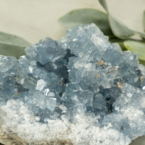 Celestite Raw #11