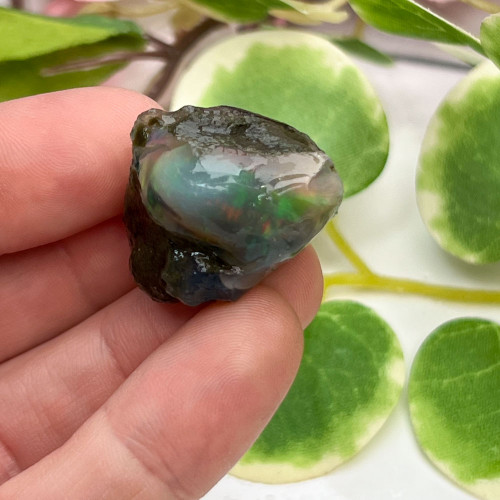 Small Ethiopian Welo Opal #10