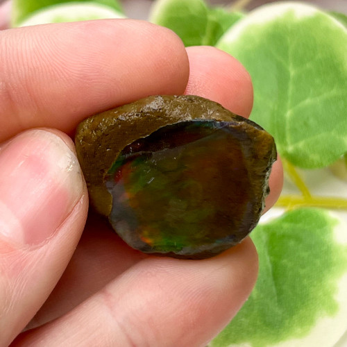 Small Ethiopian Welo Opal #9