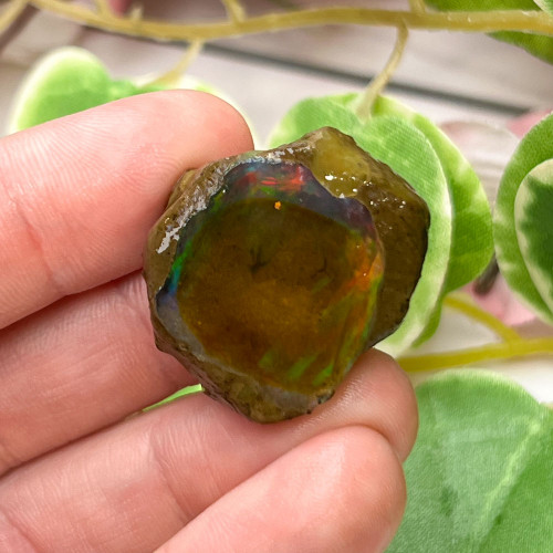 Small Ethiopian Welo Opal #9