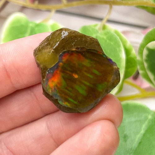 Small Ethiopian Welo Opal #9