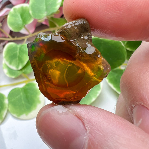 Small Ethiopian Welo Opal #8