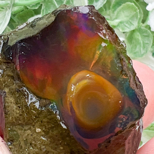 Small Ethiopian Welo Opal #5