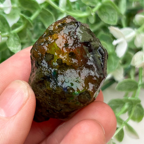 Small Ethiopian Welo Opal #5