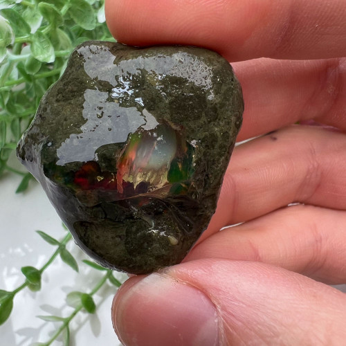 Small Ethiopian Welo Opal #1