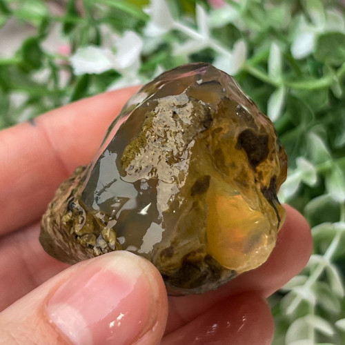 Large Ethiopian Welo Opal #9