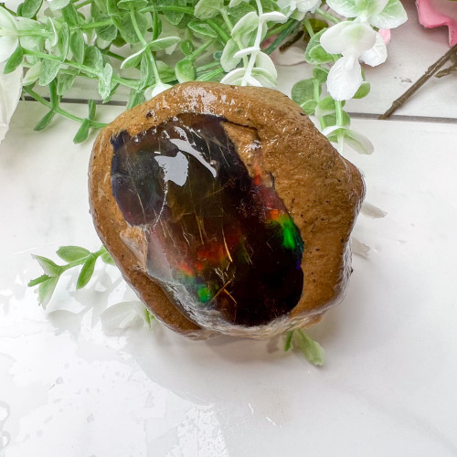 Large Ethiopian Welo Opal #8