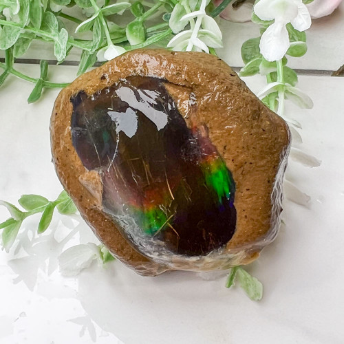 Large Ethiopian Welo Opal #8