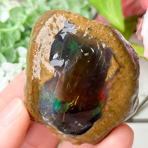 Large Ethiopian Welo Opal #8