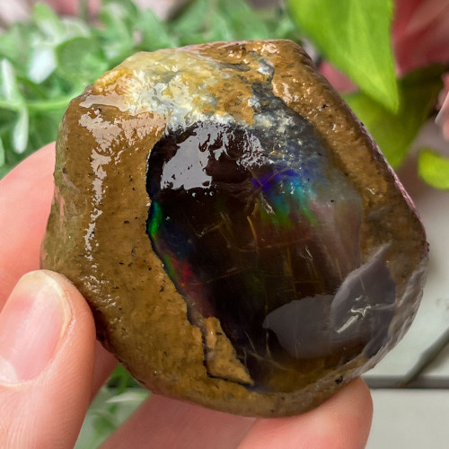 Large Ethiopian Welo Opal #8 - The Crystal Council