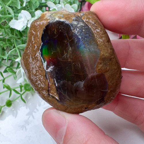 Large Ethiopian Welo Opal #8