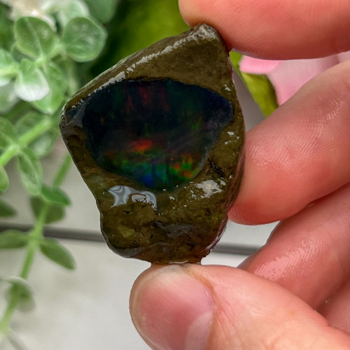 Large Ethiopian Welo Opal #6