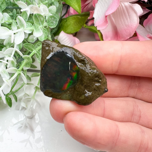 Large Ethiopian Welo Opal #6