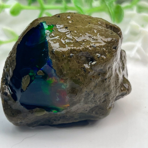 Large Ethiopian Welo Opal #5