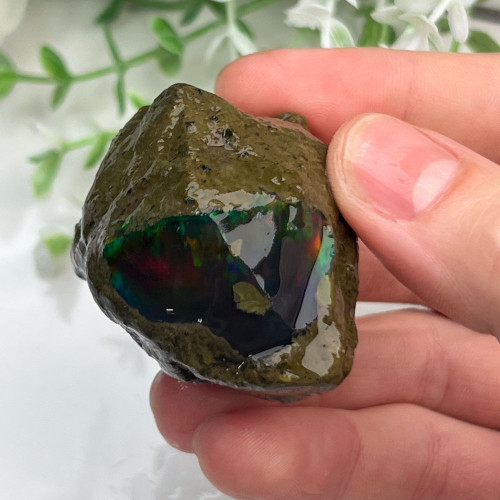 Large Ethiopian Welo Opal #5