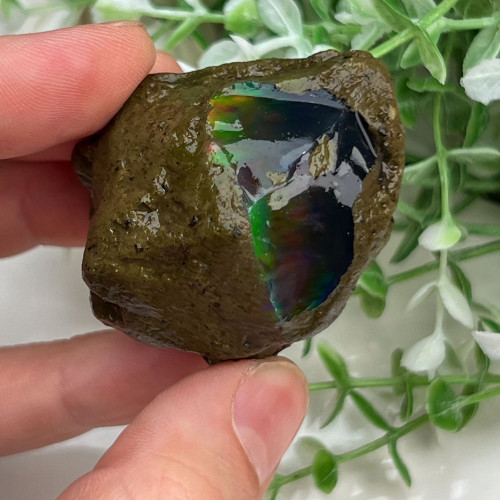 Large Ethiopian Welo Opal #5