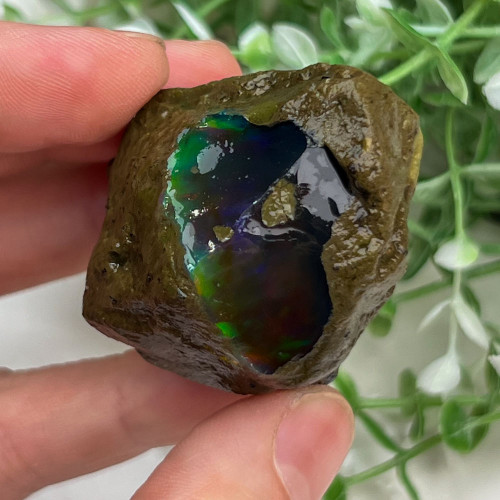 Large Ethiopian Welo Opal #5