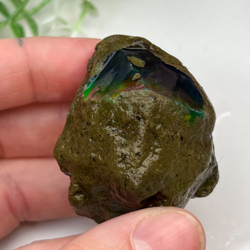 Large Ethiopian Welo Opal #5