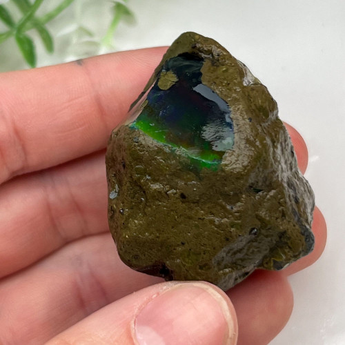 Large Ethiopian Welo Opal #5