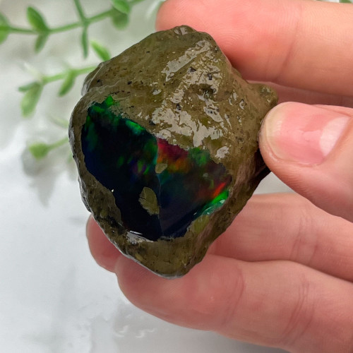 Large Ethiopian Welo Opal #5