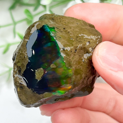 Large Ethiopian Welo Opal #5