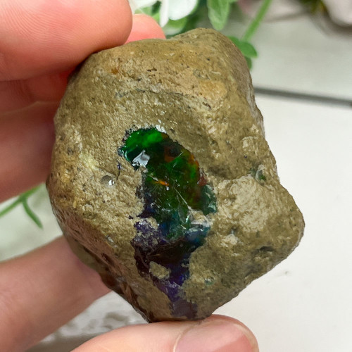 Large Ethiopian Welo Opal #4