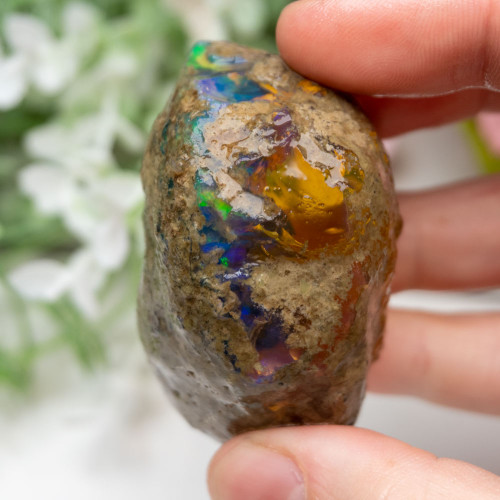 Large Ethiopian Welo Opal #3