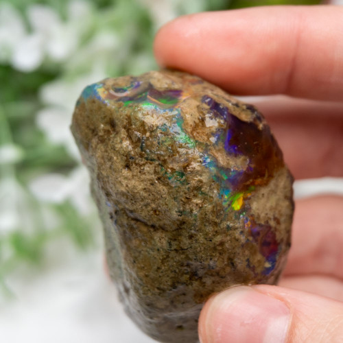 Large Ethiopian Welo Opal #3