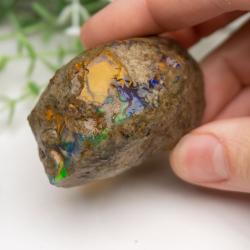 Large Ethiopian Welo Opal #3