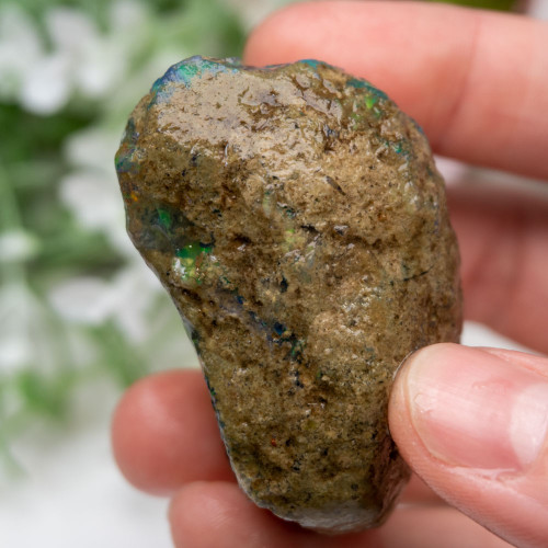 Large Ethiopian Welo Opal #3