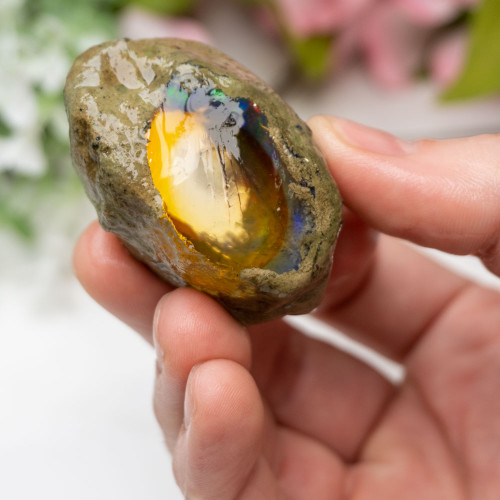 Large Ethiopian Welo Opal #2