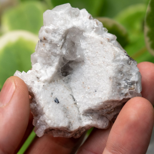 Aquamarine on Quartz and Calcite #1