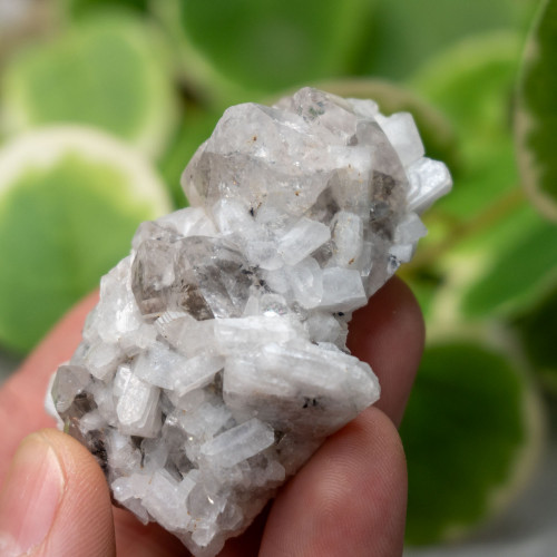 Aquamarine on Quartz and Calcite #1