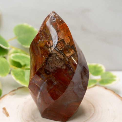 Petrified Wood Flame #1