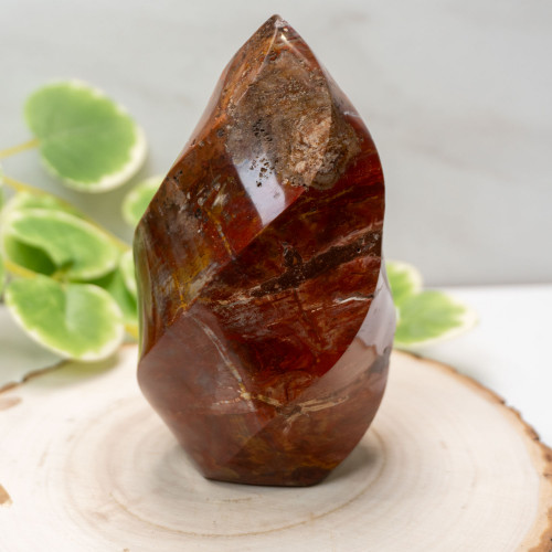 Petrified Wood Flame #1