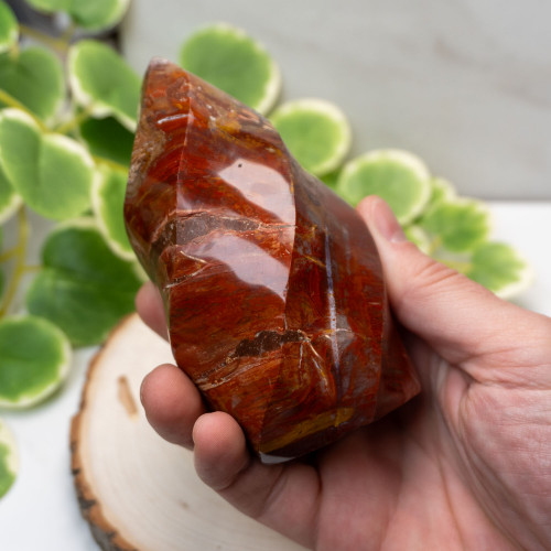 Petrified Wood Flame #1