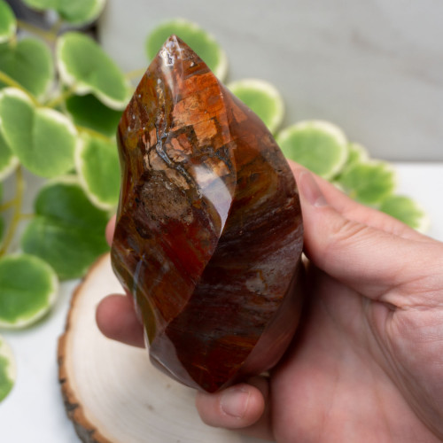 Petrified Wood Flame #1