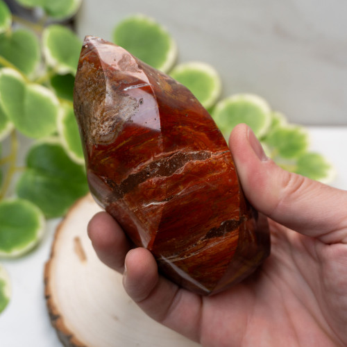 Petrified Wood Flame #1