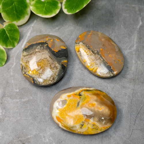 Bumblebee Jasper Palmstone