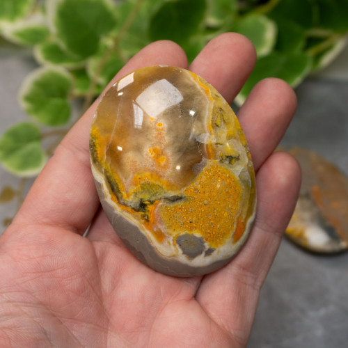 Bumblebee Jasper Palmstone