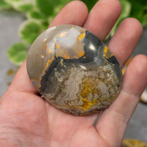 Bumblebee Jasper Palmstone