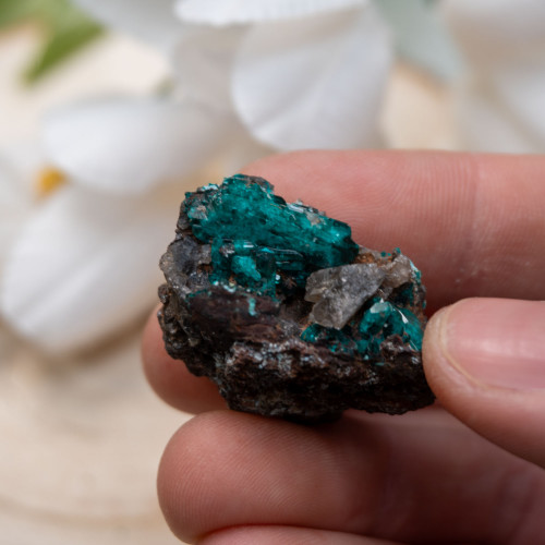 Dioptase #10