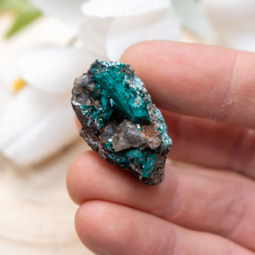 Dioptase #10