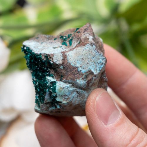 Dioptase #8